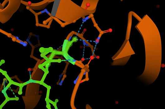 Covalent Inhibitors Library