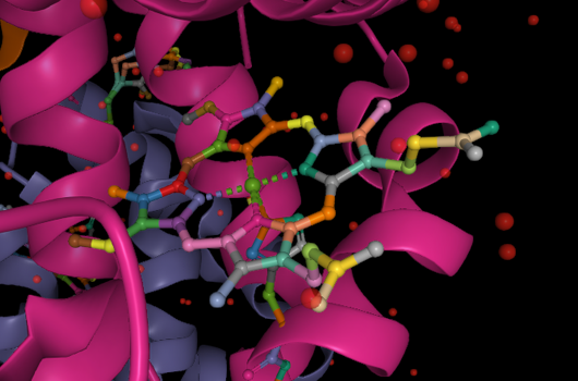 Chelating Agents Library