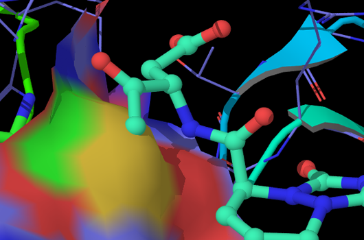 Covalent Fragment Library